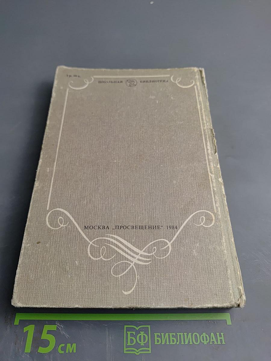 В мире русской литературы. Книга для внеклассного чтения. 6 класс