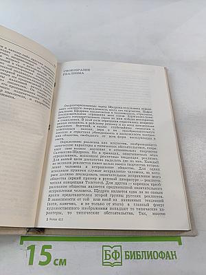 Салтыков-Щедрин. Искусство сатиры