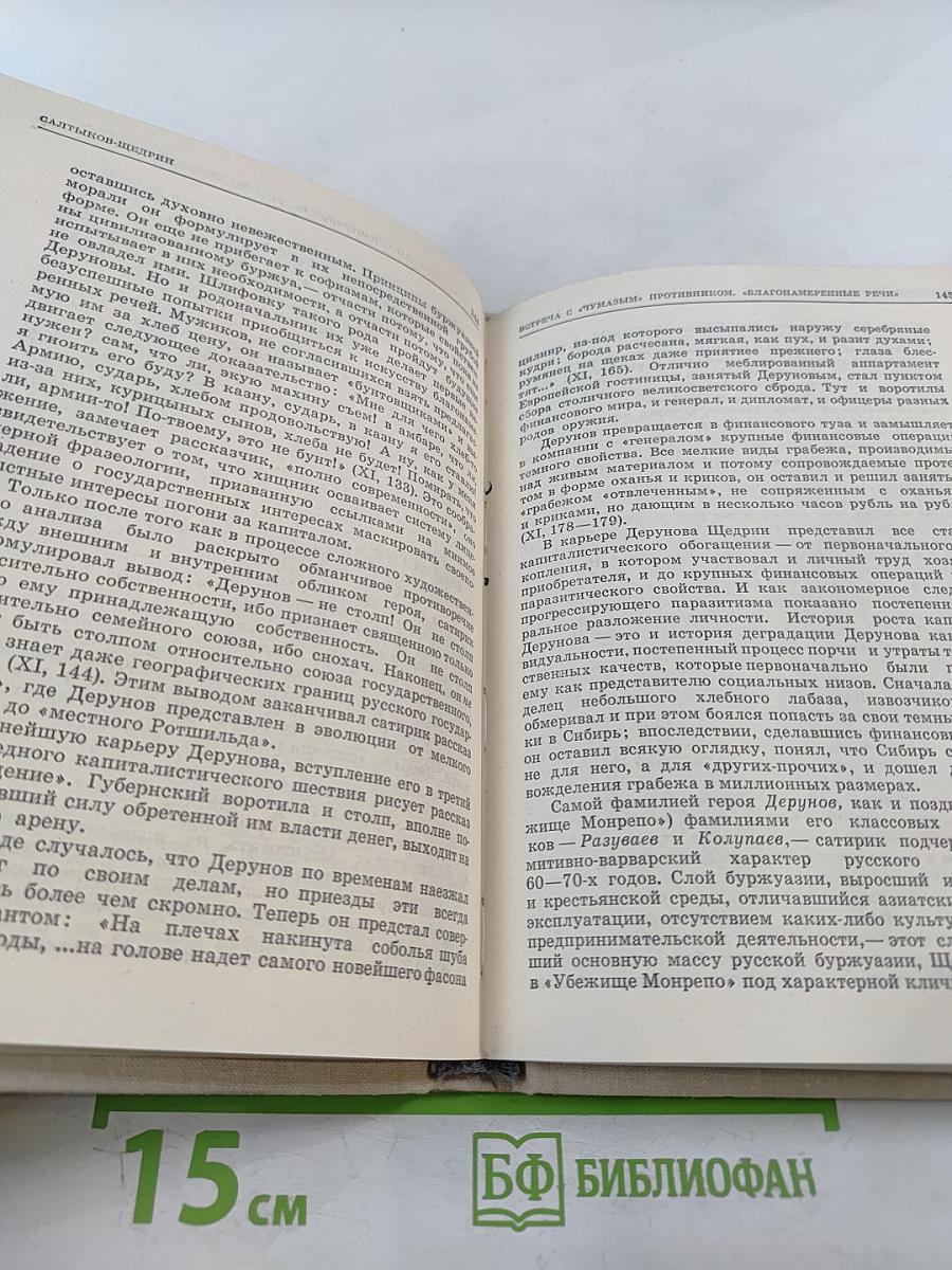 Салтыков-Щедрин. Искусство сатиры