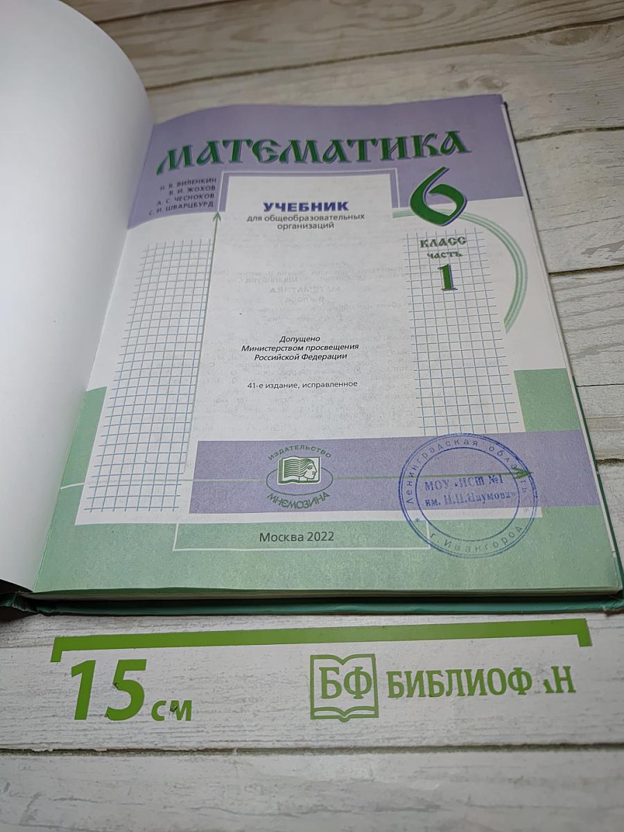 Математика. 6 класс. Часть 1