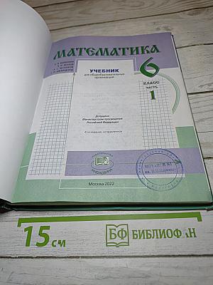 Математика. 6 класс. Часть 1