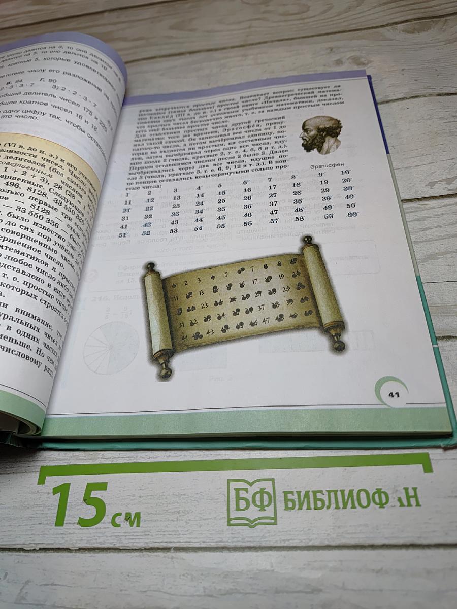 Математика. 6 класс. Часть 1