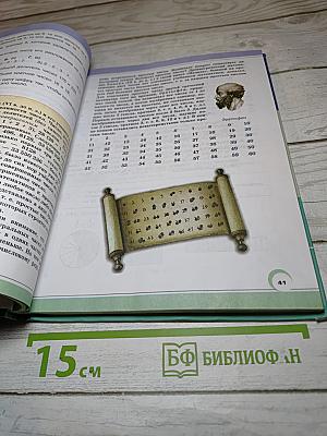 Математика. 6 класс. Часть 1
