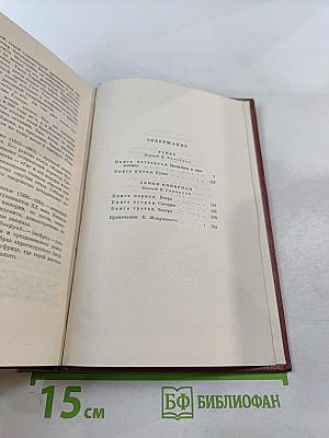 Собрание сочинений. Том четвертый. Успех. Семья Опперман