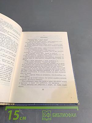 Дельфиний мыс