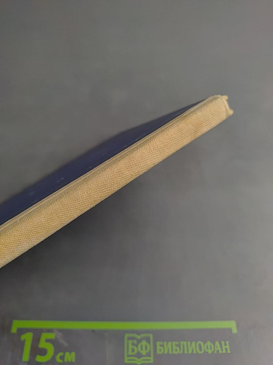 Дельфиний мыс