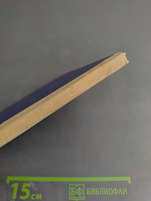 Дельфиний мыс