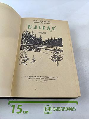 В Лесах. Книга вторая