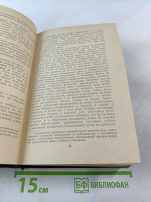 В Лесах. Книга вторая