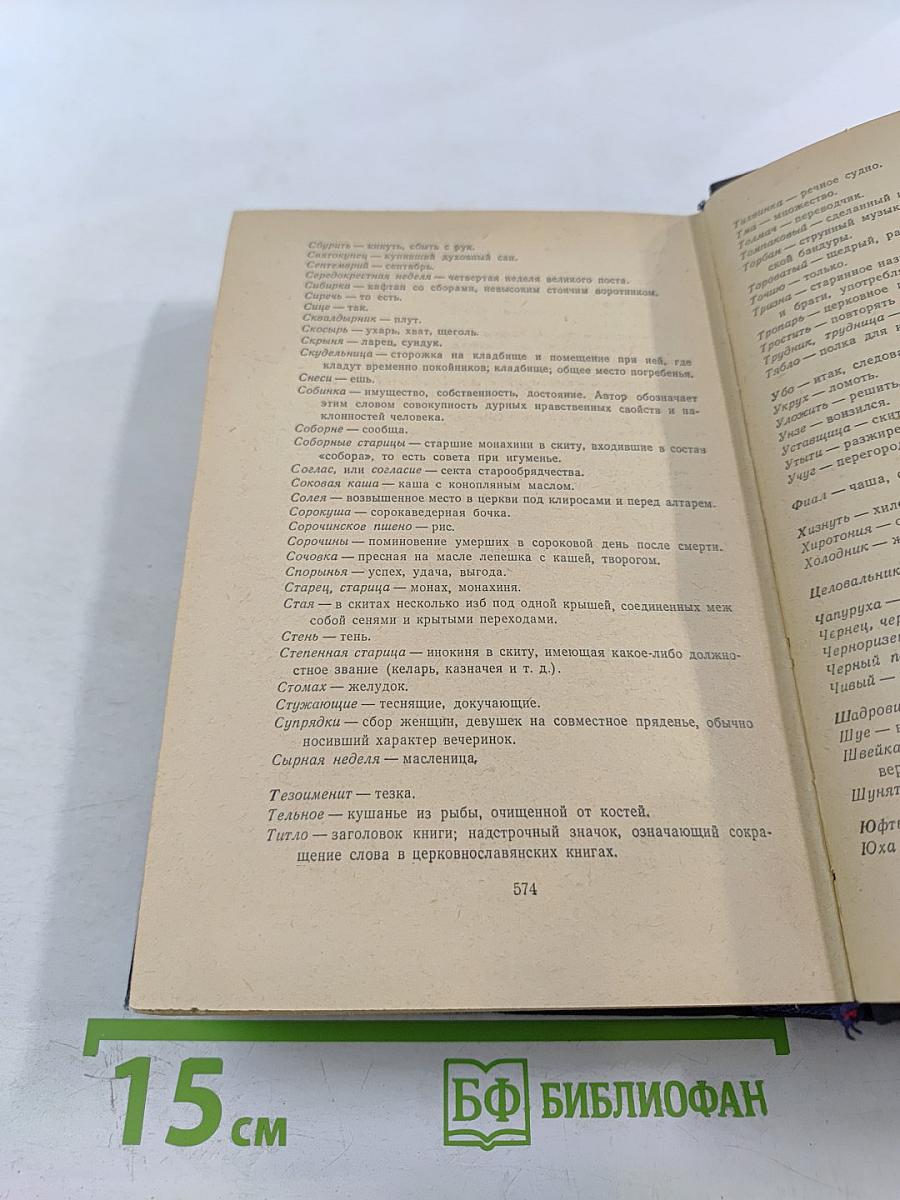 В Лесах. Книга вторая