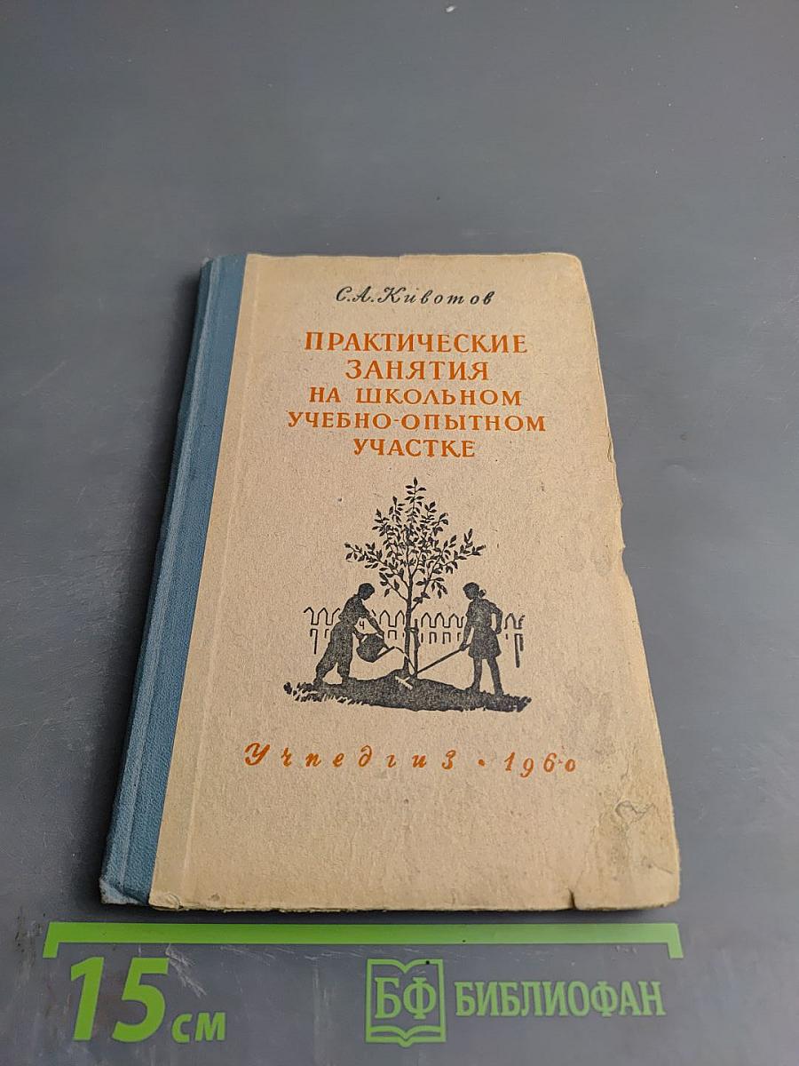 Практические занятия на школьном учебно-опытном участке для V-VI классов