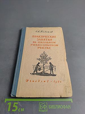 Практические занятия на школьном учебно-опытном участке для V-VI классов