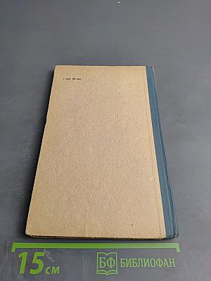 Практические занятия на школьном учебно-опытном участке для V-VI классов