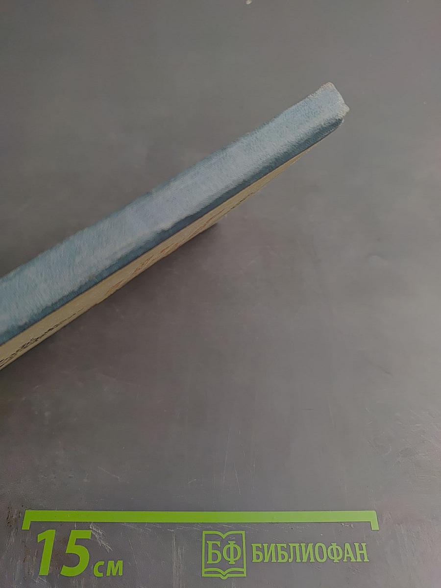 Практические занятия на школьном учебно-опытном участке для V-VI классов