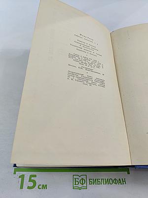 Собрание сочинений. Том третий. Позолоченный век (повесть наших дней)