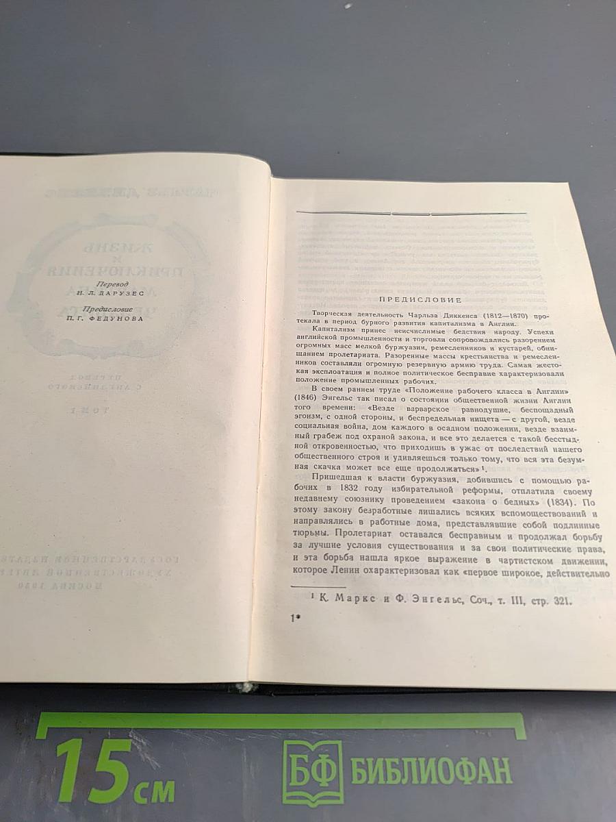 Жизнь и приключения Мартина Чезлвита. Том I