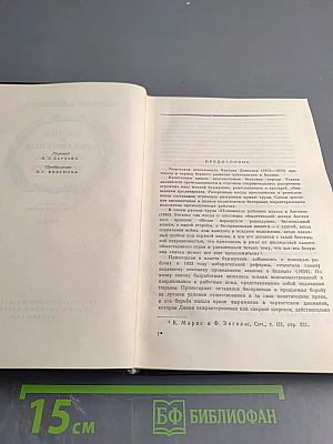 Жизнь и приключения Мартина Чезлвита. Том I