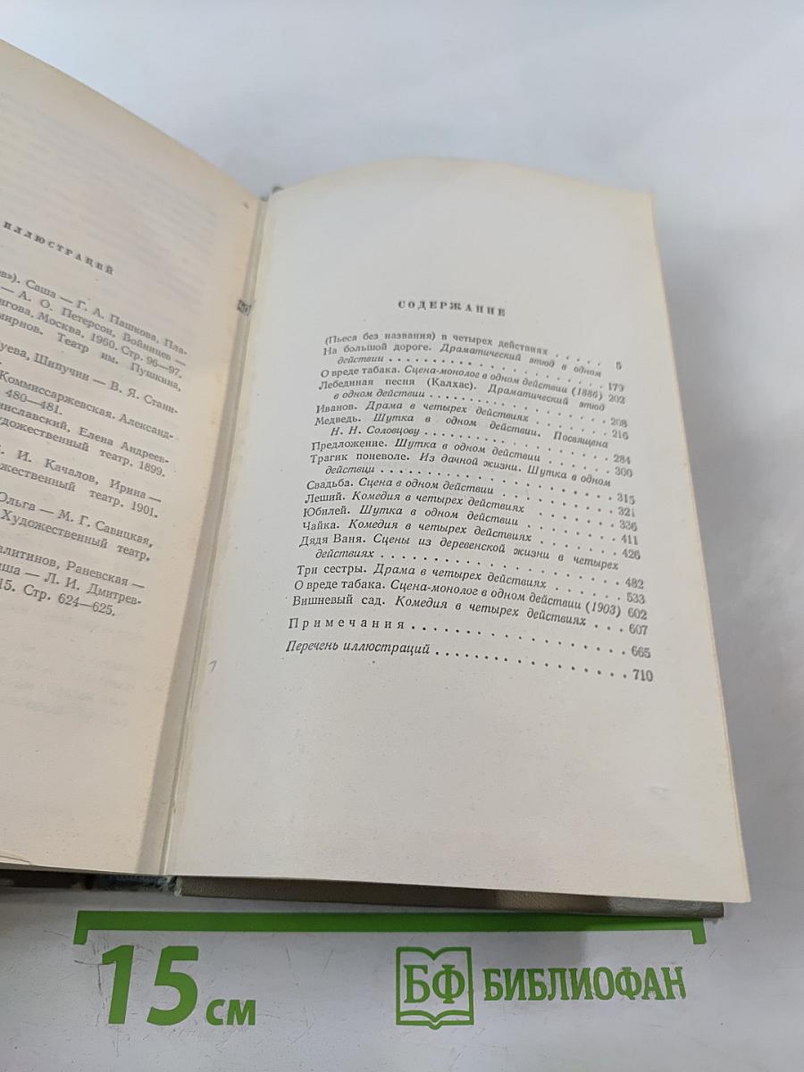 Собрание сочинений. Том десятый. Пьесы 1880-1904
