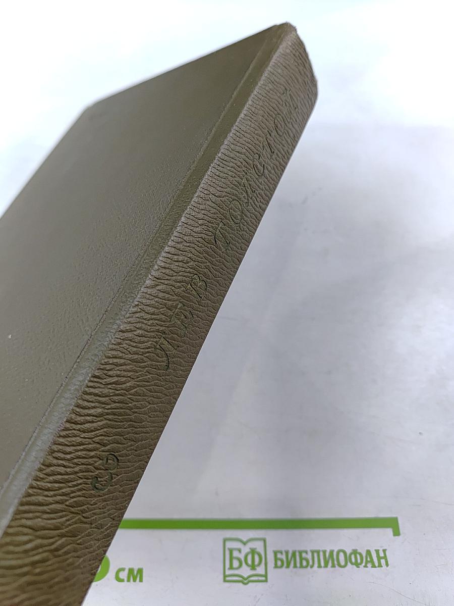 Собрание сочинений. Том третий: Повести и рассказы 1857-1863 гг.