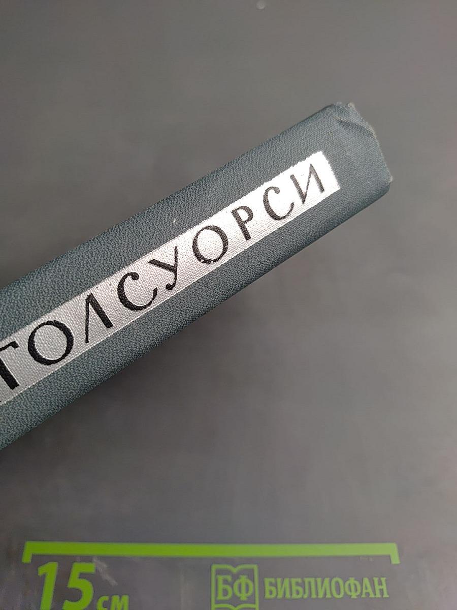 Джон Голсуорси. Собрание сочинений в шестнадцати томах. Том 4: Современная комедия