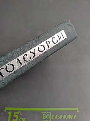 Джон Голсуорси. Собрание сочинений в шестнадцати томах. Том 4: Современная комедия