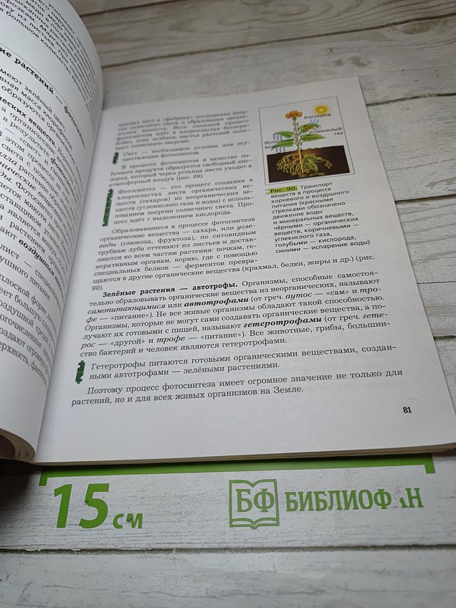 Биология 6 класс