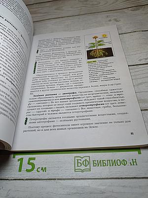 Биология 6 класс