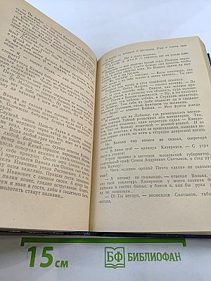 Слово и дело. Том I. Книга первая. Царица престрашного зраку