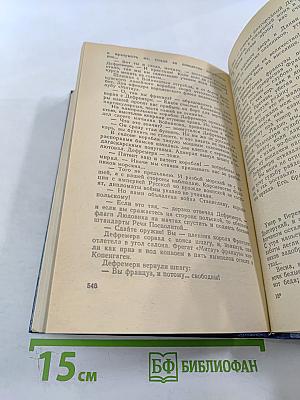 Слово и дело. Том I. Книга первая. Царица престрашного зраку