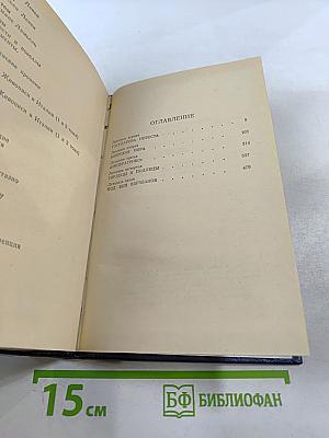 Слово и дело. Том I. Книга первая. Царица престрашного зраку