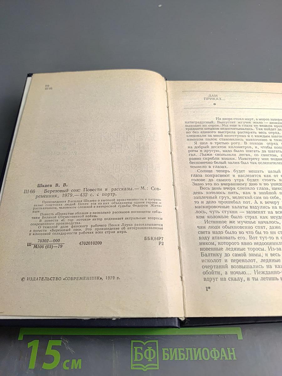 Березовый сок. Повести и рассказы