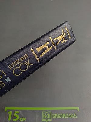 Березовый сок. Повести и рассказы