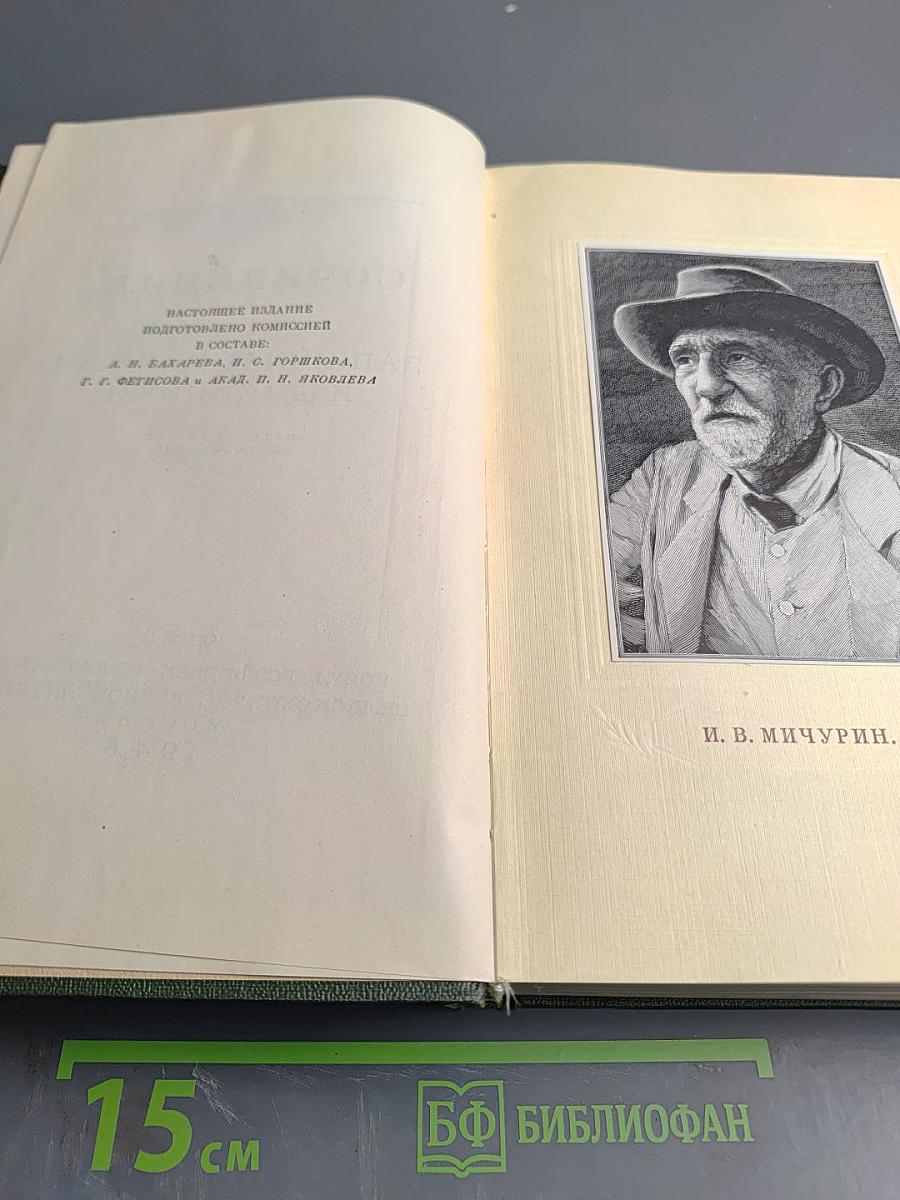 Сочинения. Том Третий. Записные книжки и дневники