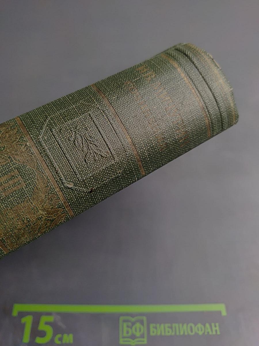 Сочинения. Том Третий. Записные книжки и дневники