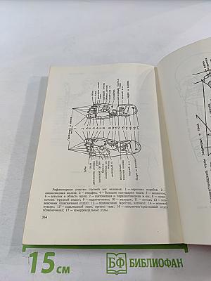 Целительные силы