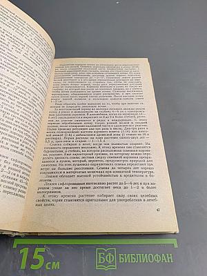 Лекарства с огорода