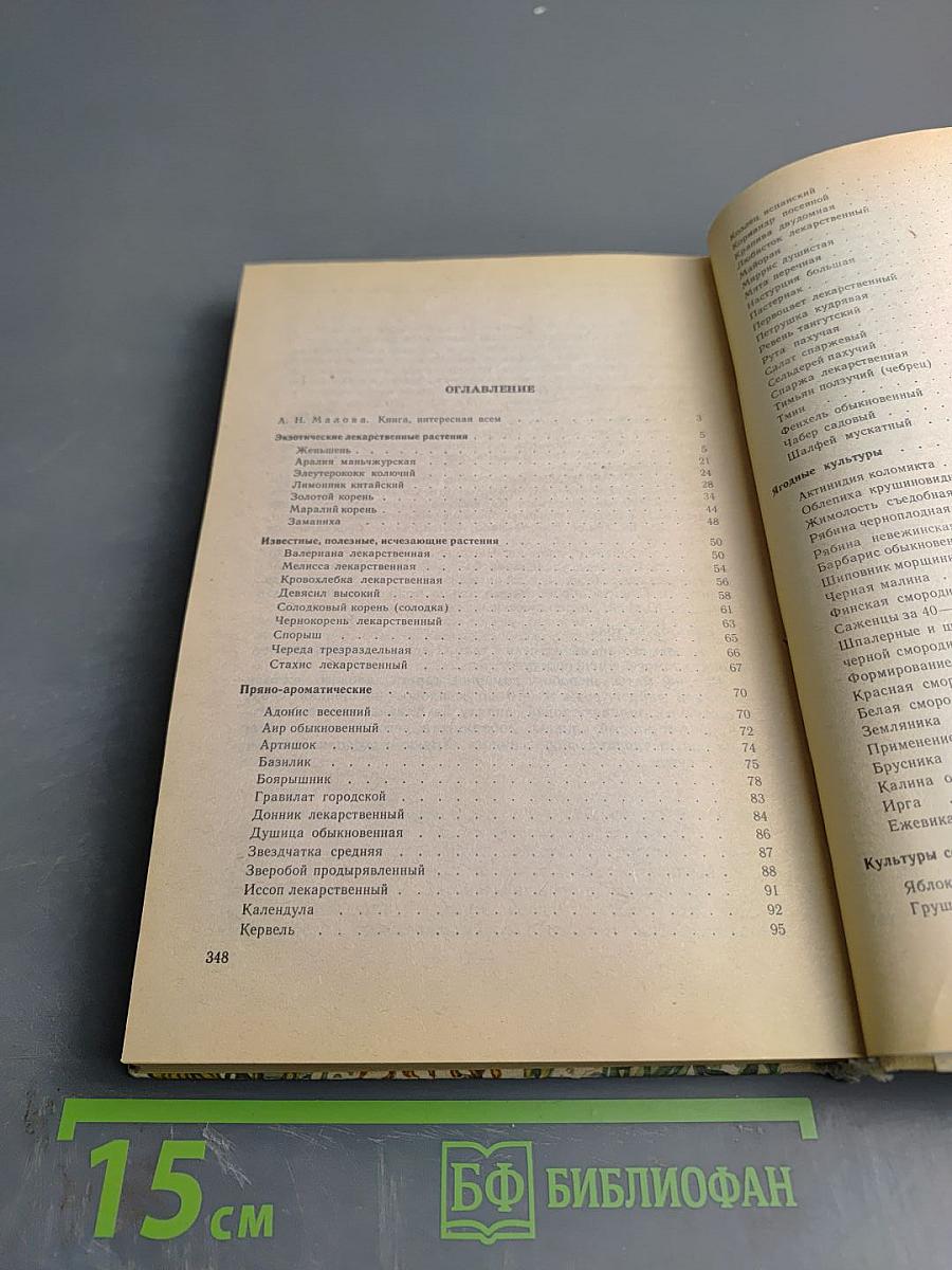 Лекарства с огорода