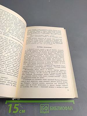 Лето Господне. Праздники. Радости. Скорби