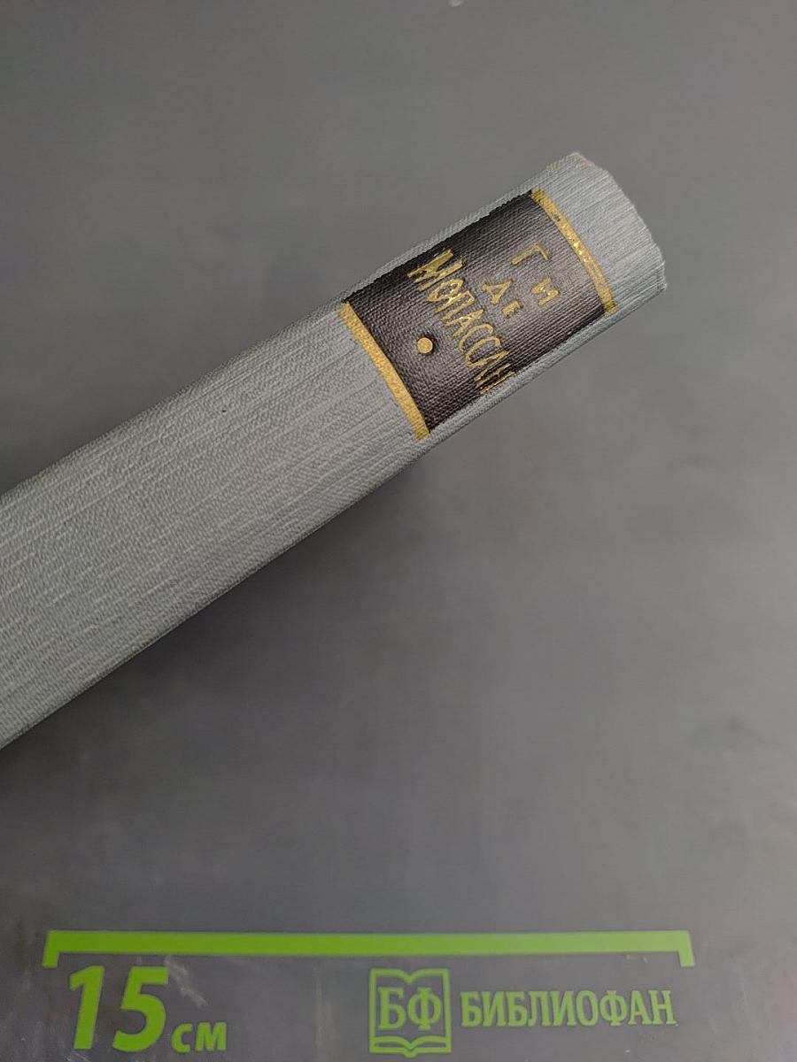 Полное собрание сочинений. Том 11: Статьи и очерки