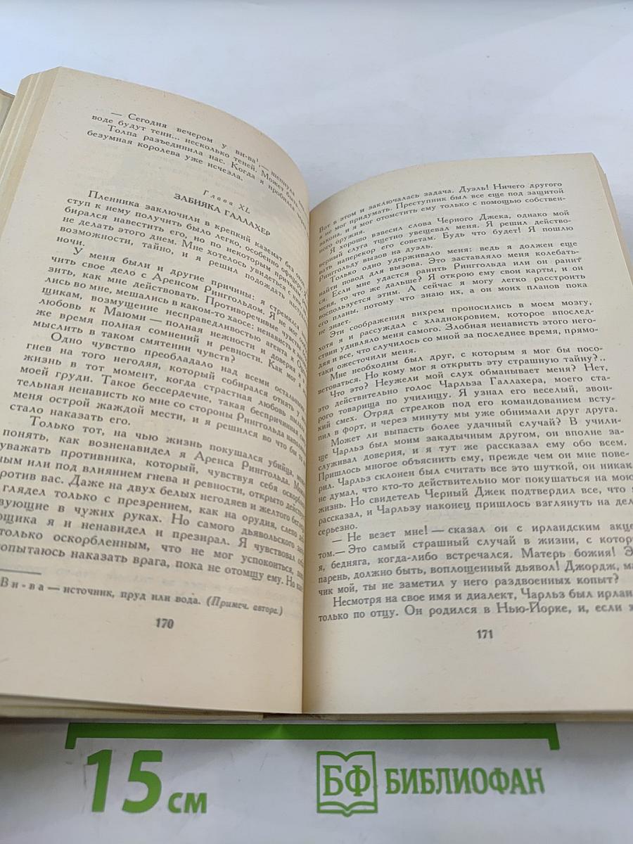 Оцеола, вождь семинолов. Повесть о Стране Цветов