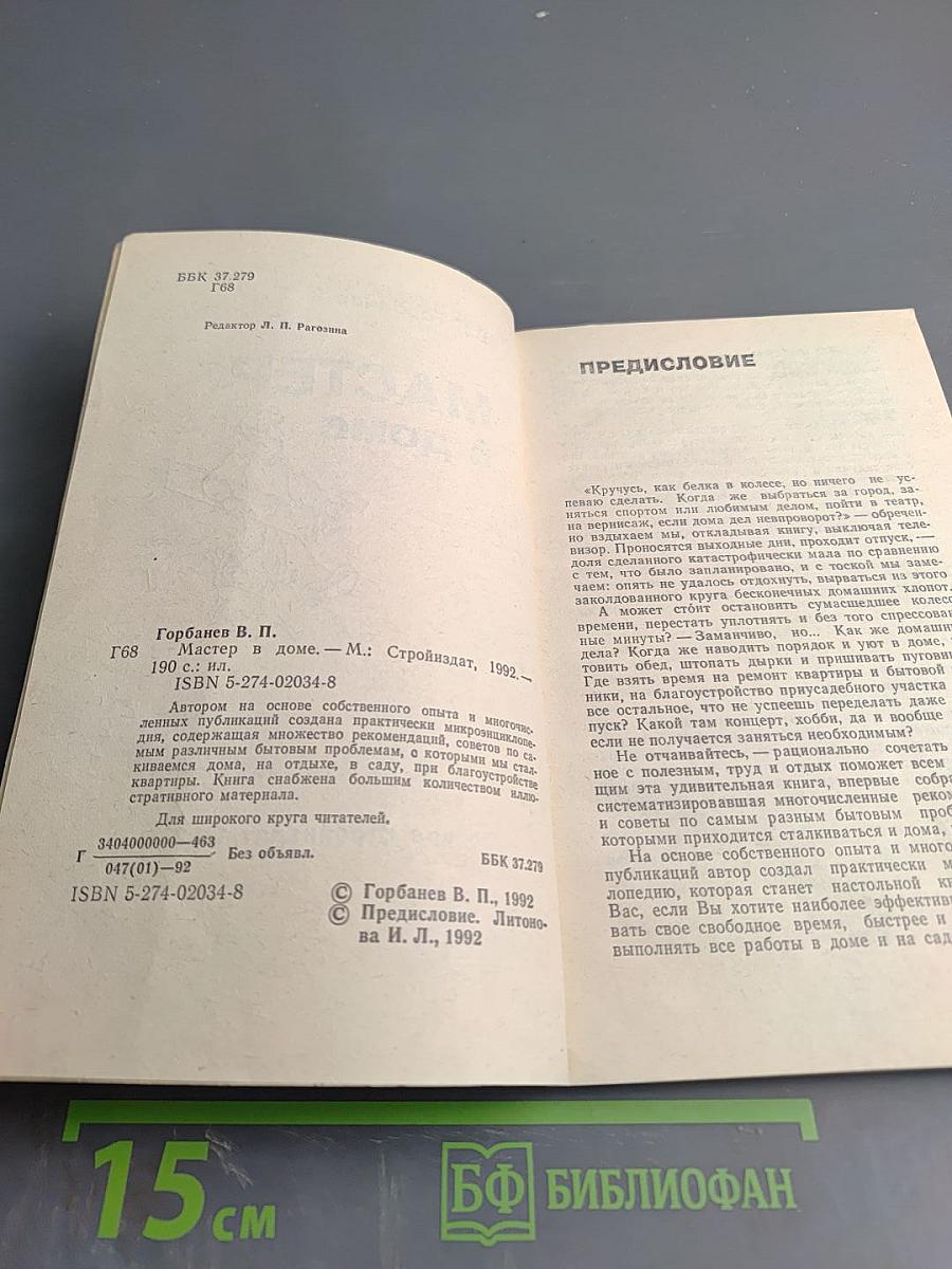 Мастер в доме