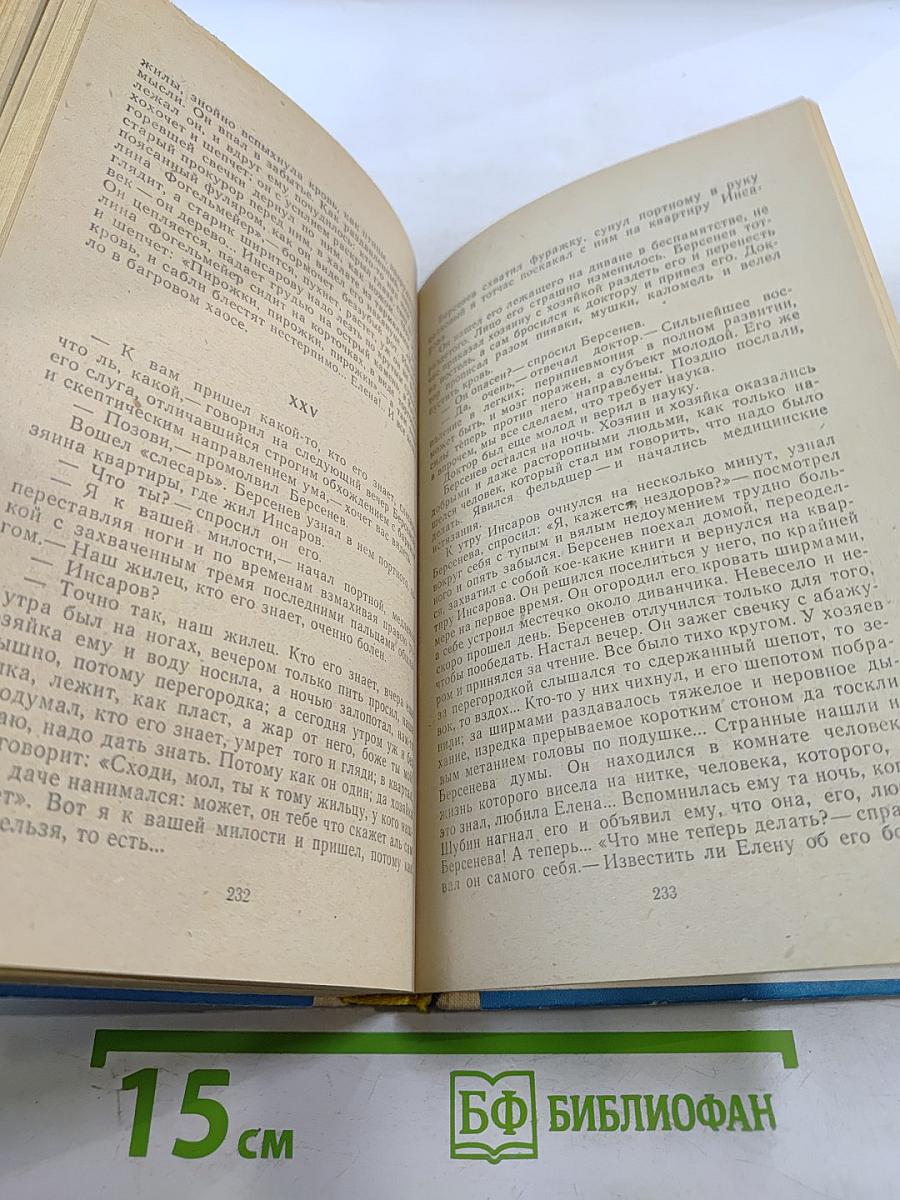 Рудин. Накануне