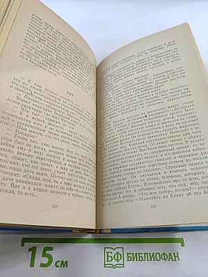 Рудин. Накануне