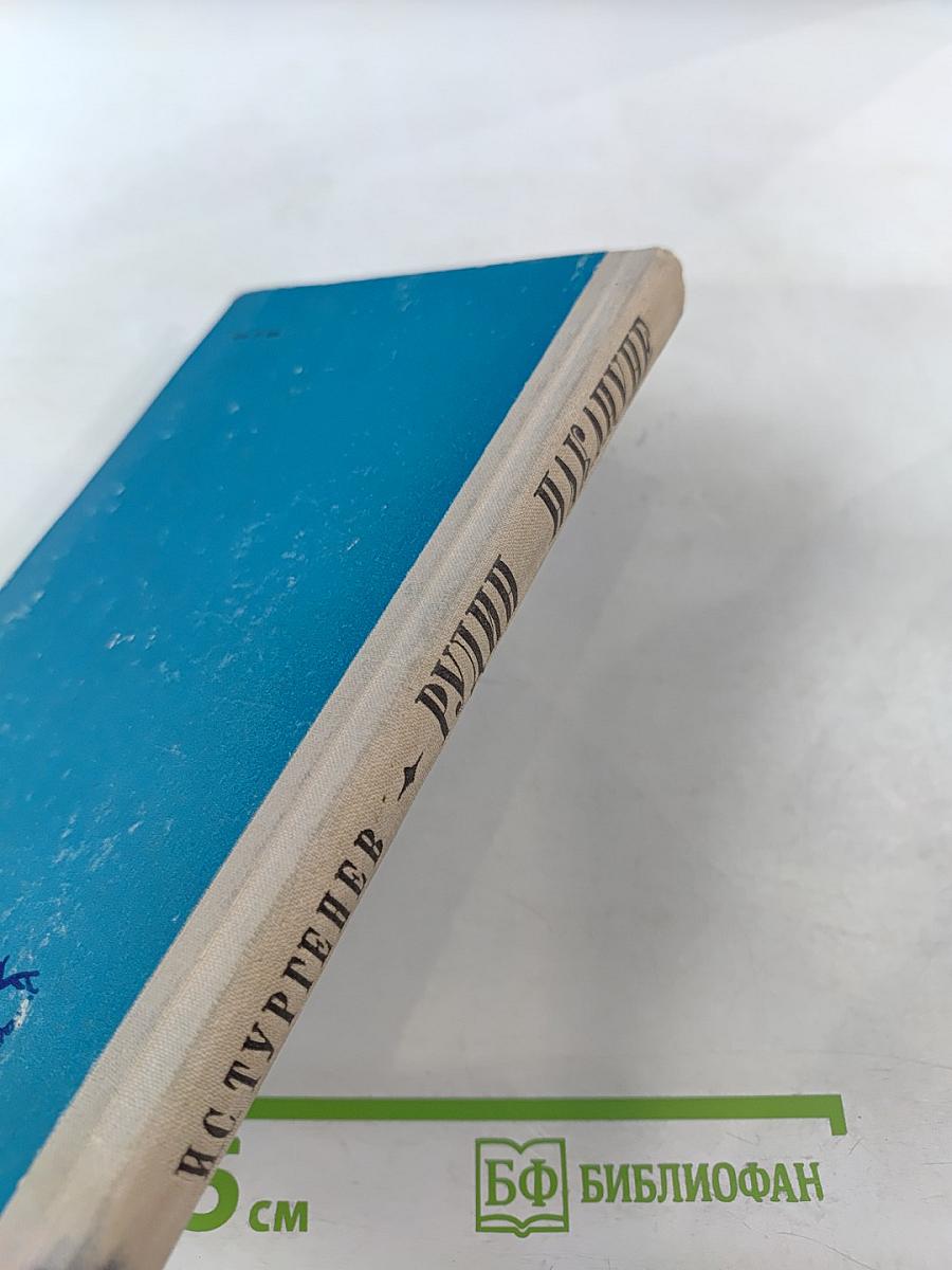 Рудин. Накануне