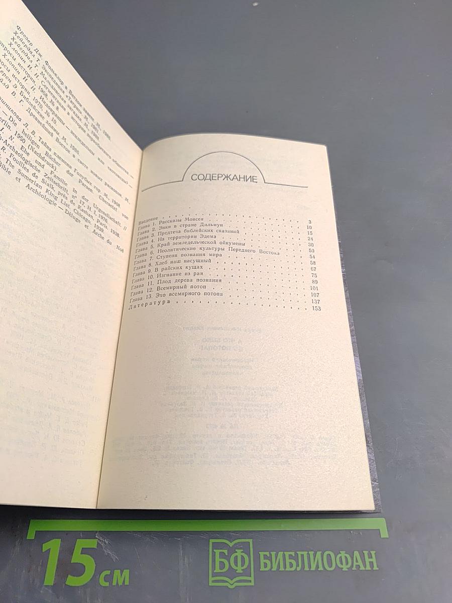 А что было до потопа?