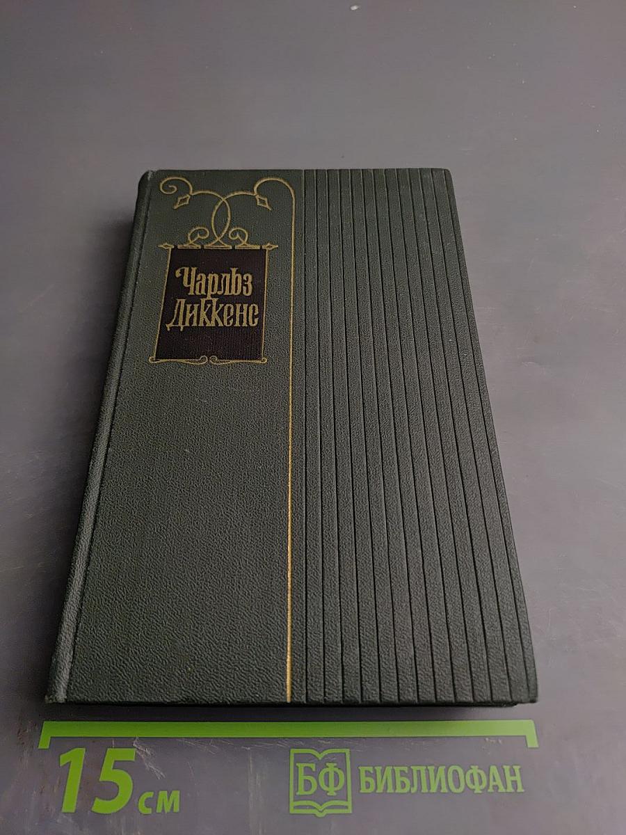 Торговый дом Домби и сын. Том тринадцатый
