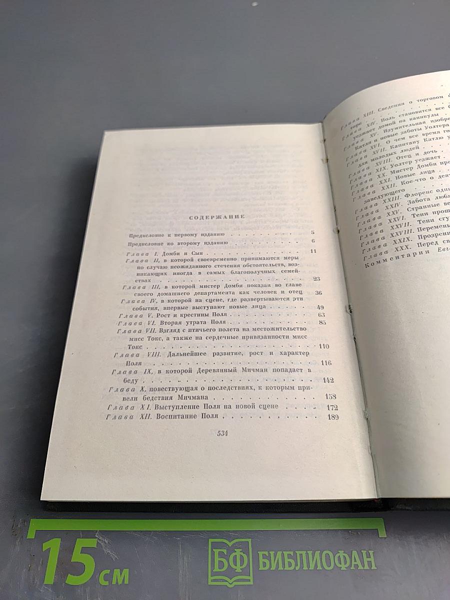 Торговый дом Домби и сын. Том тринадцатый