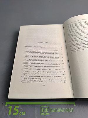 Торговый дом Домби и сын. Том тринадцатый