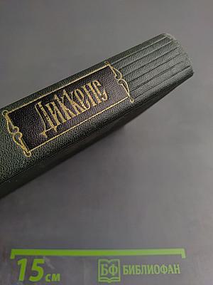 Торговый дом Домби и сын. Том тринадцатый