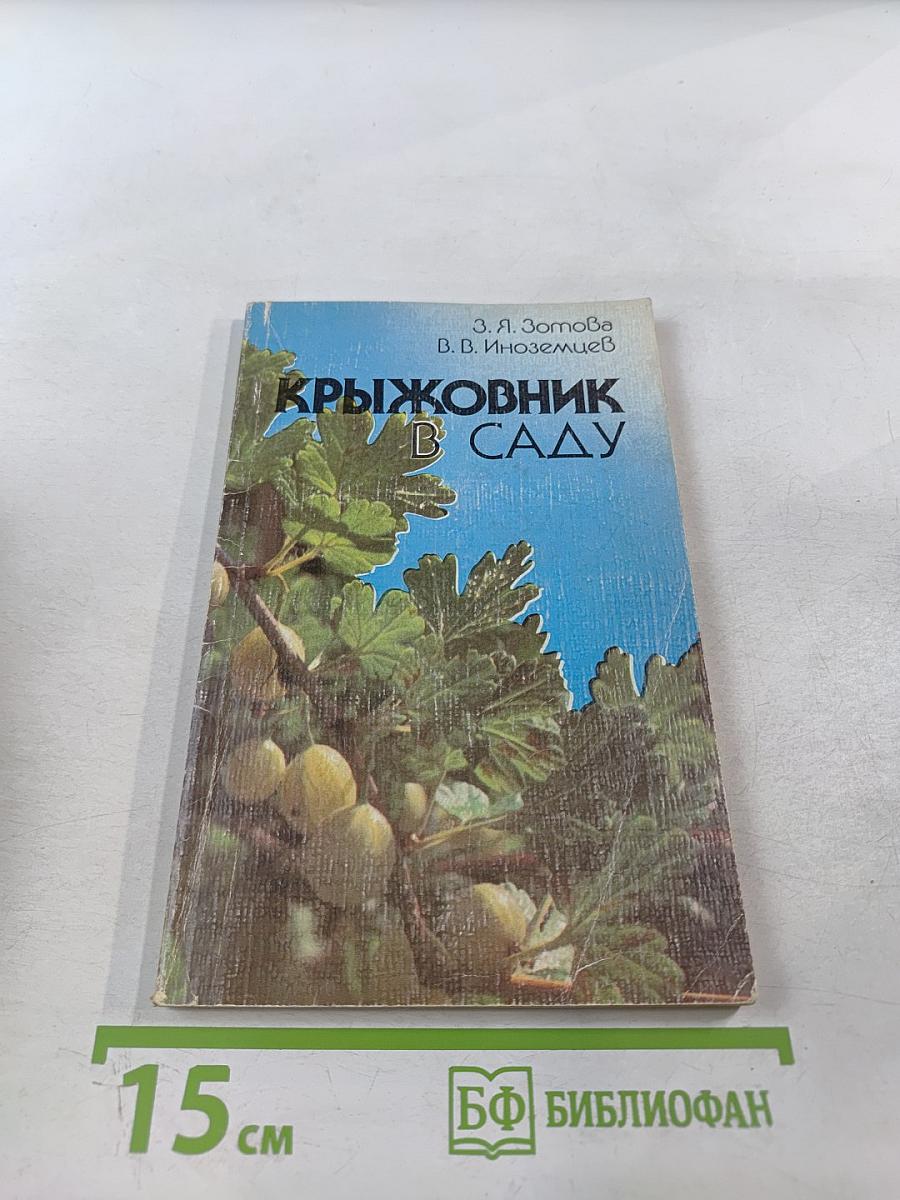 Крыжовник в саду